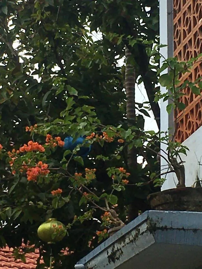 Cherry Garden Homestay Hoi An 0*,  Vietnam