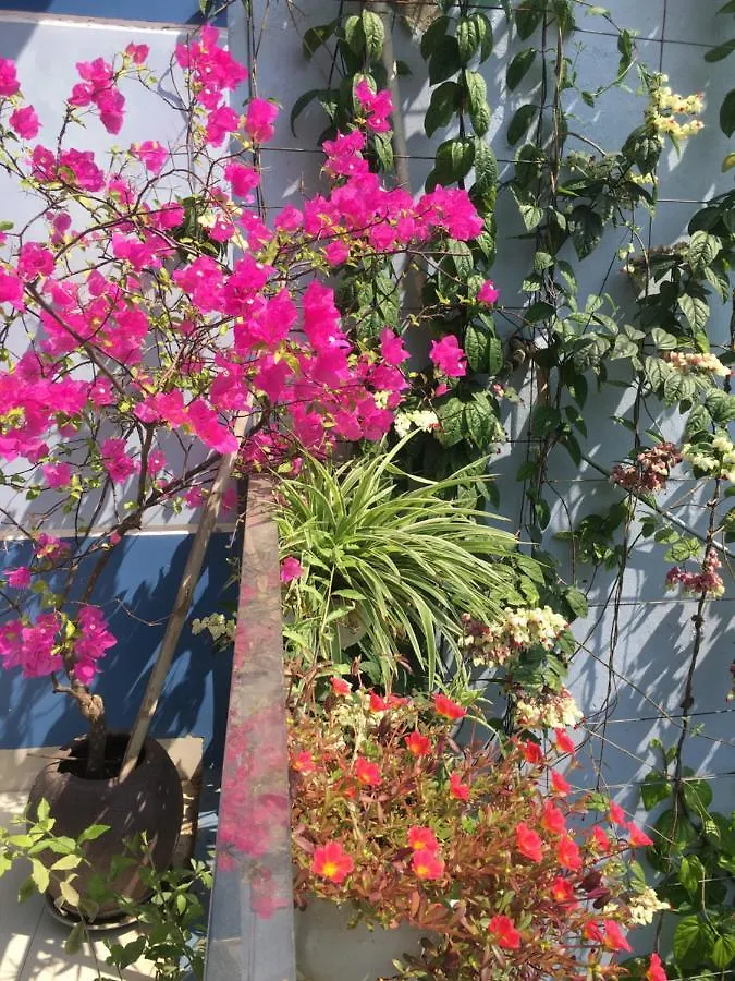 Cherry Garden Homestay Hoi An Vietnam