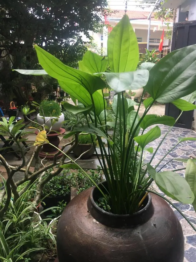 Cherry Garden Homestay Hoi An 0*,